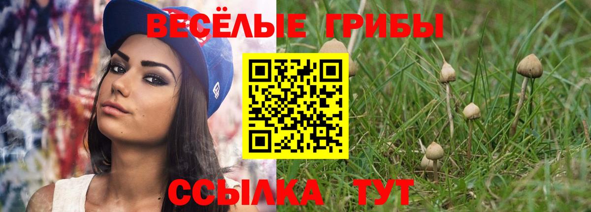 Галлюциногенные грибы GOLDEN TEACHER  Галлюциногенные грибы прущие грибы  Вход с VPN  как найти закладки  Гатчина 