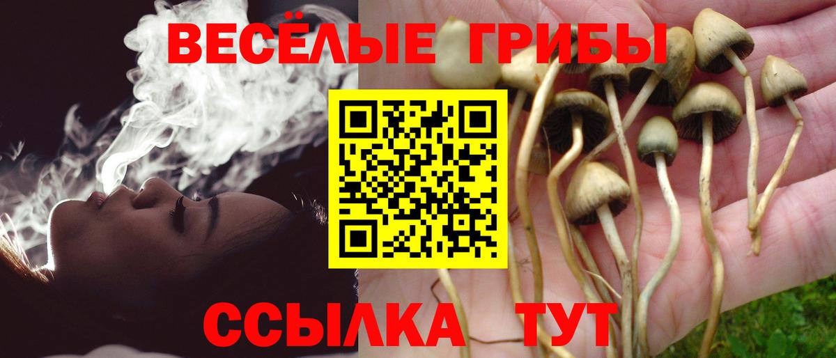 Псилоцибиновые грибы мухоморы Гатчина